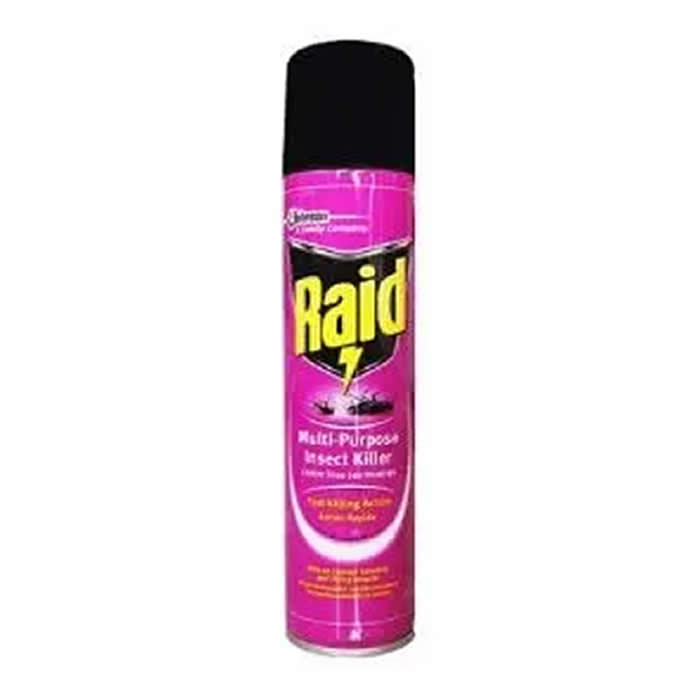 RAID INSECT KILLER